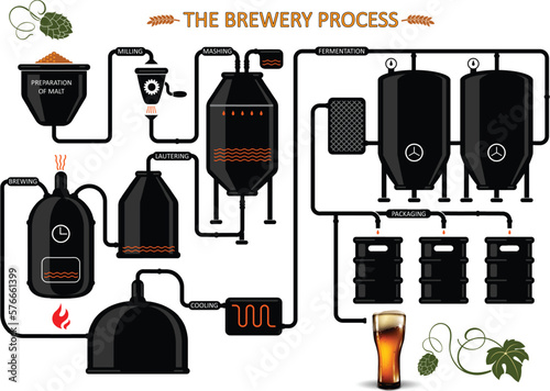 Diagram of  the process of brewing beer. Detailed illustration