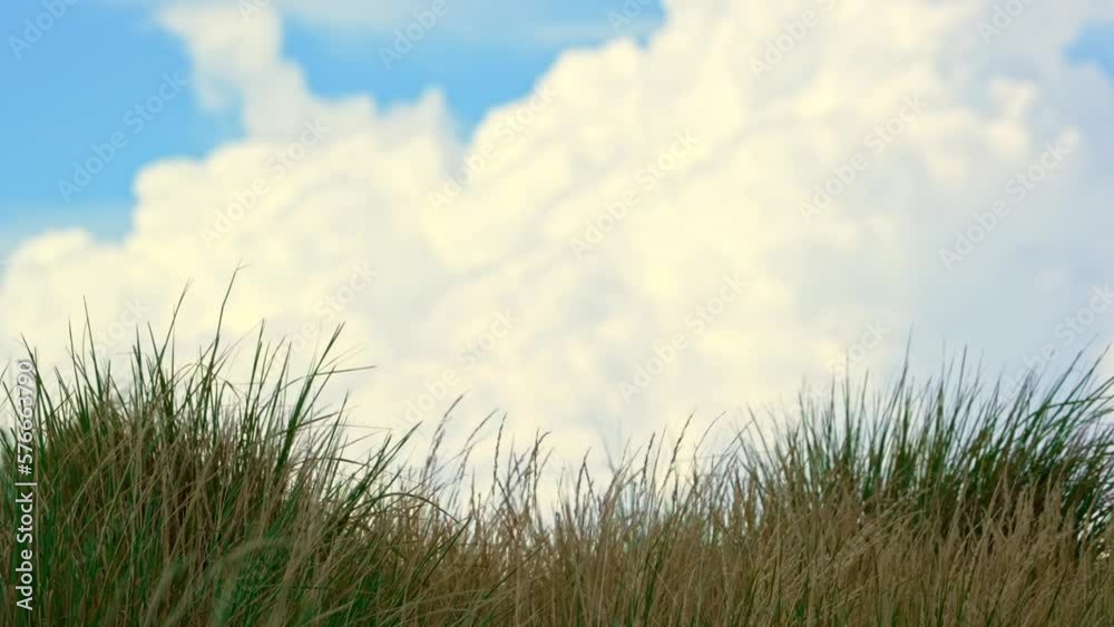 Beauty of Nature. Zoom in view of clouds and grass at eye level in the mountains. Slow motion. Beauty of Nature. Zoom in view of clouds and grass at eye level in the mountains. Slow motion.