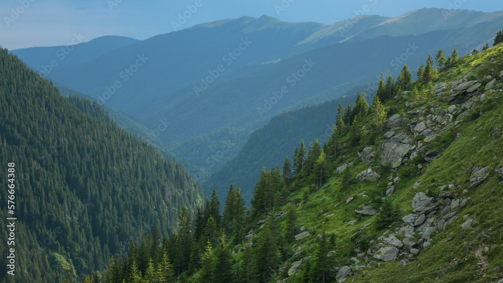 View above a rocky canyon above a wild coniferous woodland in Carpathia, Romania. Mountain peaks are covered by clouds. Hazy atmosphere. Fagaras Mountains. 