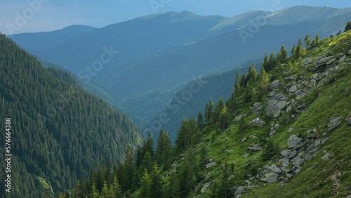 View above a rocky canyon above a wild coniferous woodland in Carpathia, Romania. Mountain peaks are covered by clouds. Hazy atmosphere. Fagaras Mountains. 