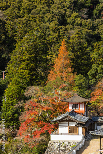 日本 大阪府箕面市の箕面公園にある瀧安寺の客殿と紅葉