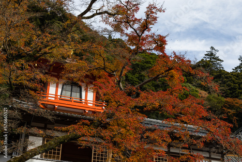 日本　大阪府箕面市の箕面公園にある瀧安寺の客殿と紅葉 © pespiero