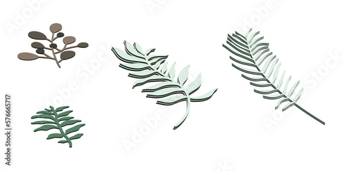 set of leaves isolated