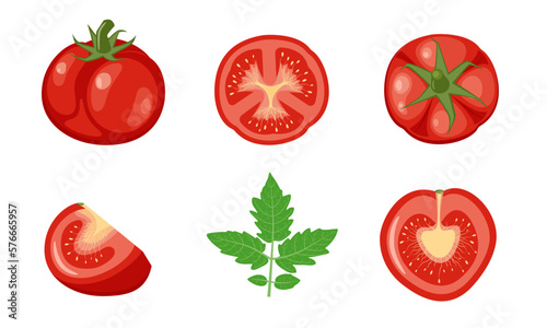 Ripe tomato vector illustration isolated on white background. Appetizing tomato fruit, half, pieces, slices. The concept of proper, healthy nutrition.