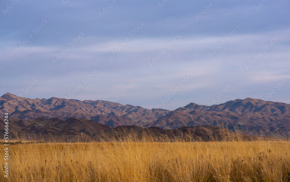 Landscape of the Tibetan Plateau. Yellow wild grass against the backdrop of a mountain range. An amazing view of a desolate plain with dry grass in the foreground and mountains in the distance.