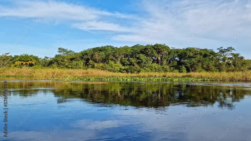 Canoe tour on the Pantanal Marimbus, waters of many rivers and abundant vegetation, in Andarai, Bahia, Brazil in the Chapada Diamantina Canoe tour on the Pantanal Marimbus, waters of many rivers and abundant vegetation, in Andarai, Bahia, Brazil in the Chapada Diamantina