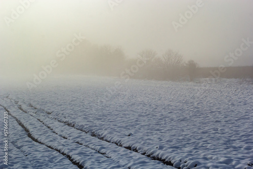 Winter snowy frosty landscape. The forest is covered snow. Frost and fog in the park