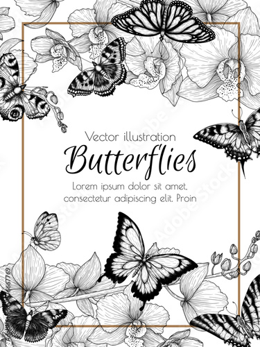 Vector frame flower and insects. Orchid, monarch butterfly, hive butterfly, peacock butterfly, butterfly swallowtail, pieridae, butterflies admiral, podalirius, papilio in engraving style