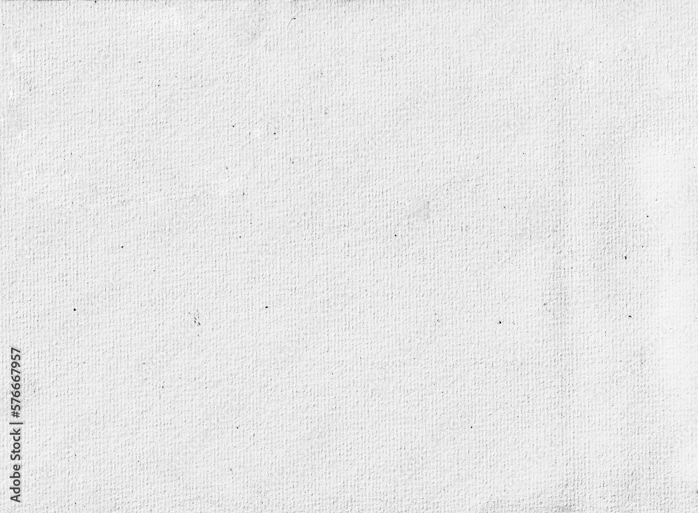 Obraz premium white paper texture for background