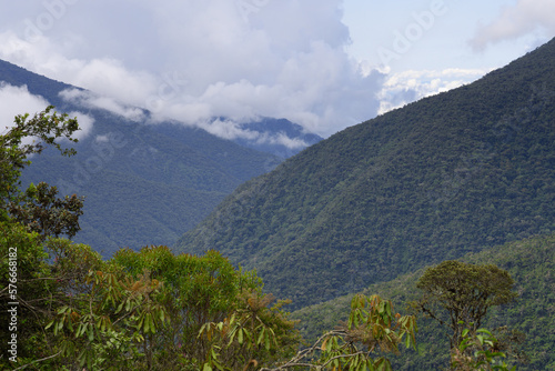 Tropical Cloud Forest landscape  Manu National Park  Peru