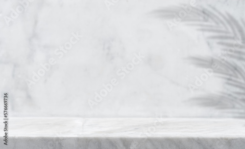 Empty Grey marble stone floor and wall room nature granite texture background with shadow leaves, well display product and text present on free space backdrop