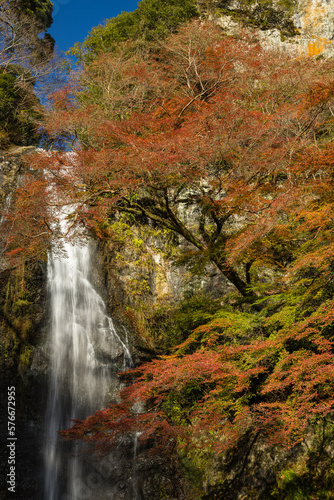 日本 大阪府箕面市にある箕面公園の箕面大滝と紅葉