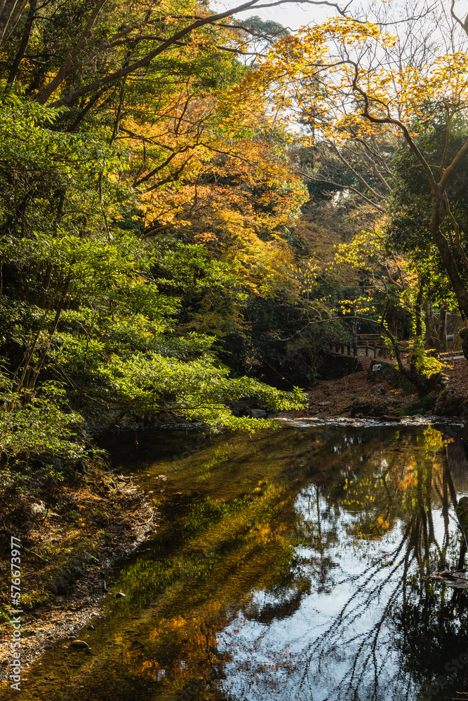 日本　大阪府箕面市にある箕面公園を流れる箕面川と紅葉した木々