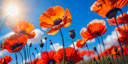 poppy flowers in the field clear blue sky. AI generated.