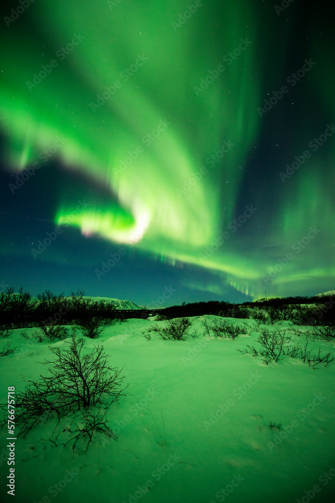 imagen de un paisaje nevado con una aurora boreal iluminando el cielo nocturno de Islandia con estrellas de fondo