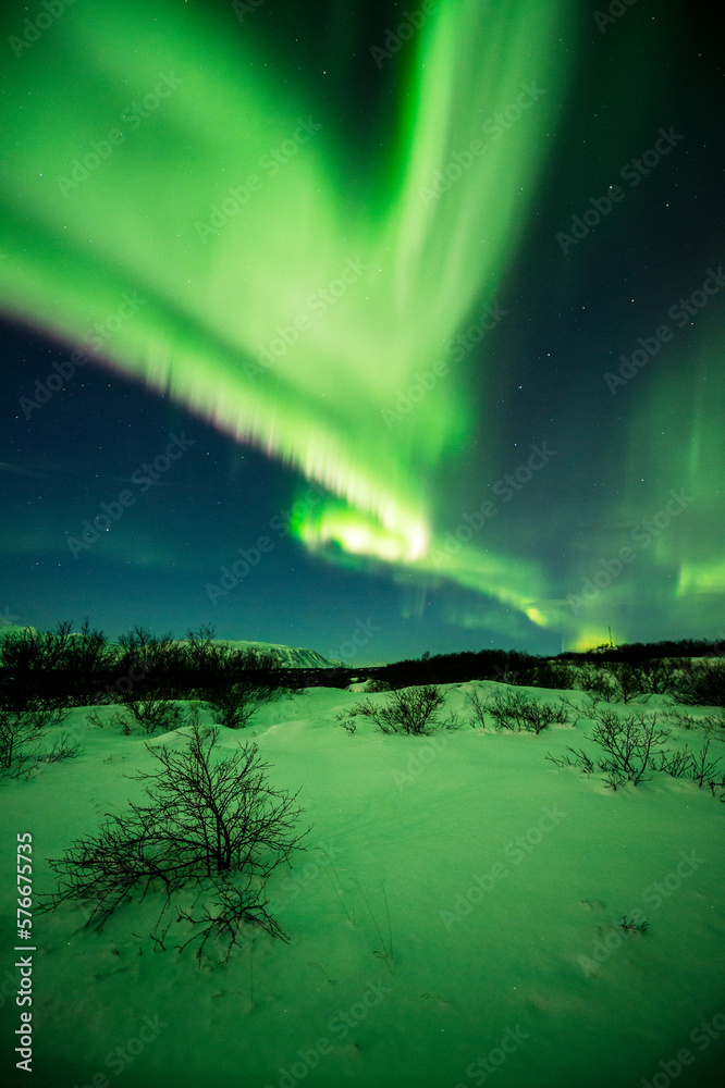 imagen de un paisaje nocturno nevado con una aurora boreal en el cielo nocturno estrellado 