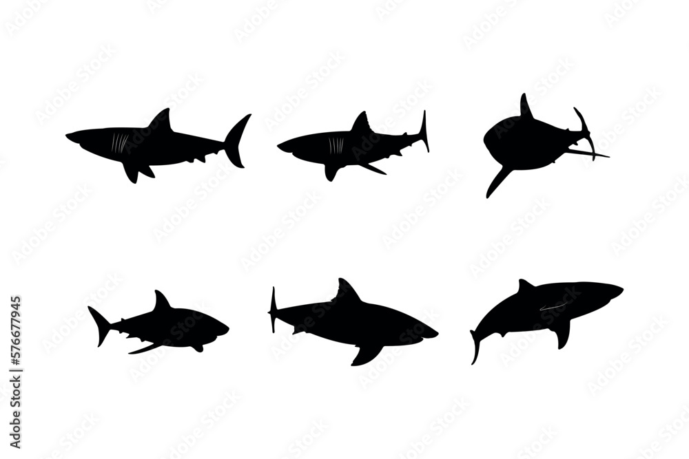 Collection of black silhouettes sharks. Collection of black silhouettes sharks.