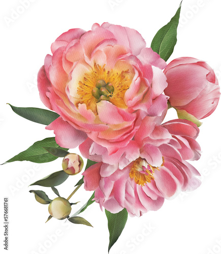 Pink floral bouquet with peony flowers, buds and green leaves illustration isolated. Summer garden flowers. Hand-drawn spring flower composition for cards design, wedding invitations, decor
