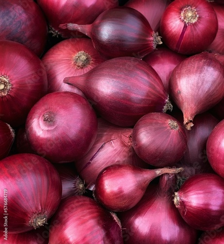 Fresh red onion close up. Harvest concepts. Organic vegetables.