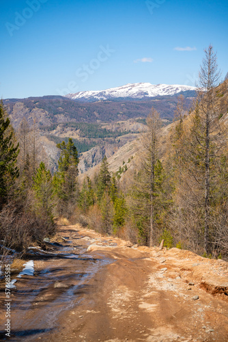 Road uphill with large stones in the background of the forest and mountains, off-road in Altai, Russia