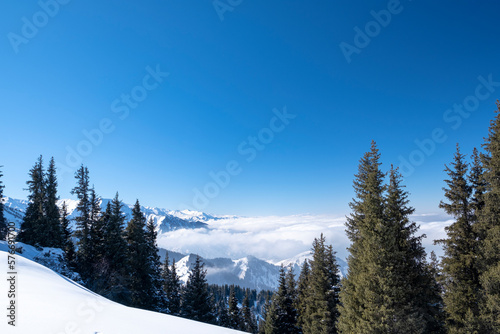 Winter landscape in the mountains above the clouds. Beautiful view of the sea from the clouds high in the mountains.