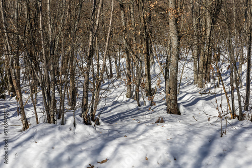 Appennino in inverno