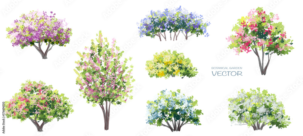 Vector watercolor blooming flower tree side view isolated on white background for landscape and architecture drawing, elements for environment and garden,botanical elements for section in spring 
 - obrazy, fototapety, plakaty 
