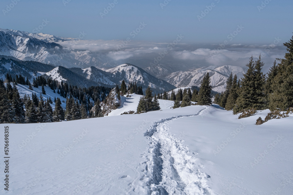 Winter landscape in the mountains, spruces and mountain peaks.