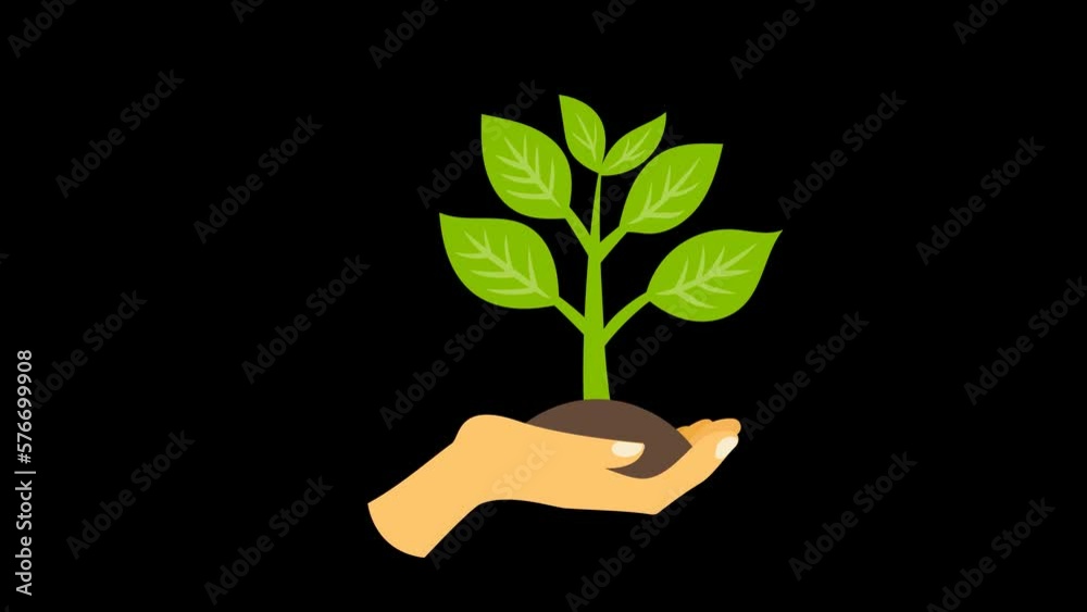 animated hand holding a growing plant in alpha channel animated hand holding a growing plant in alpha channel