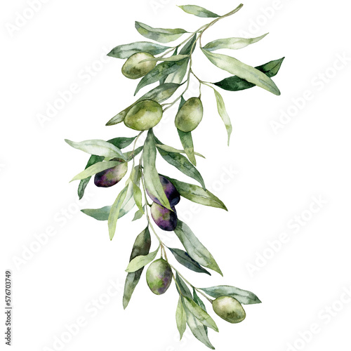 Watercolor card of olive branches with black and green berries Fototapet