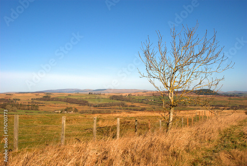view over Billsmoor Park eastwards near Rothbury, Northumberland photo