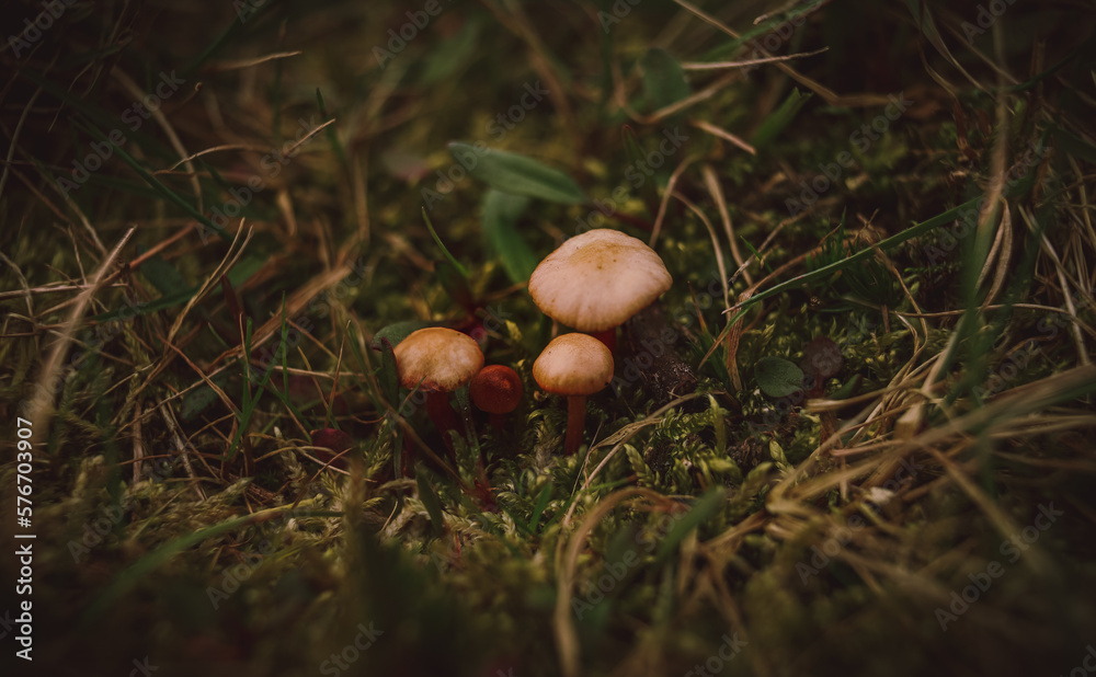 The simple things are also the most extraordinary things. The simple things are also the most extraordinary things.
