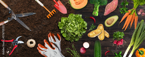 organic gardening concept - banner with vegetables and gardening tools on brown soil