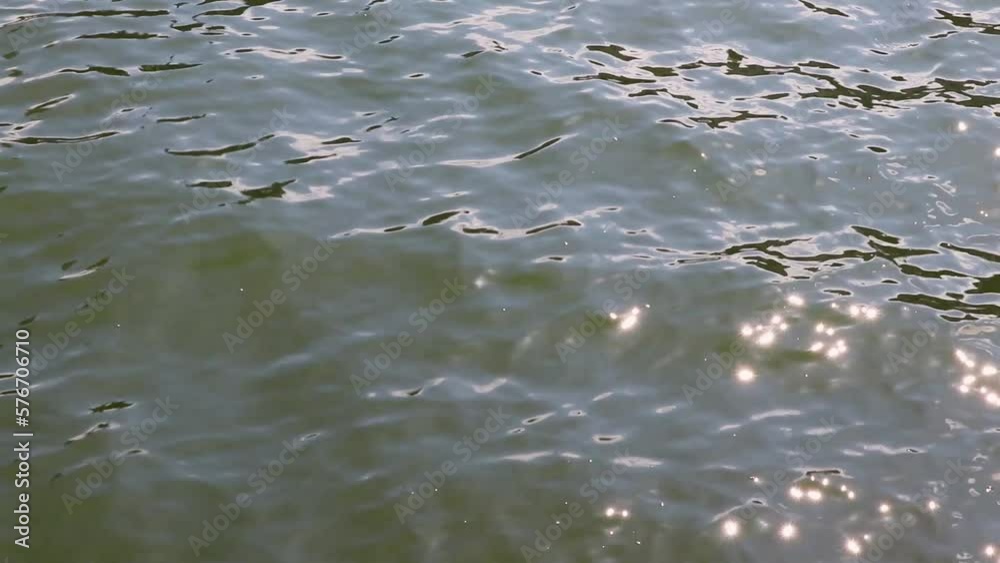 太陽の光を反射しながら揺れる水面
