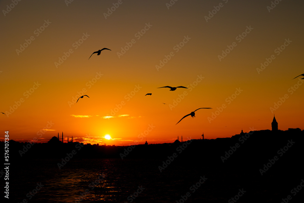 Silhouette of Istanbul at sunset with Galata Towerr and Suleymaniye and Seagulls