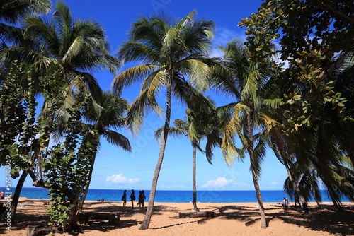Guadeloupe perfect beach - Grande Anse