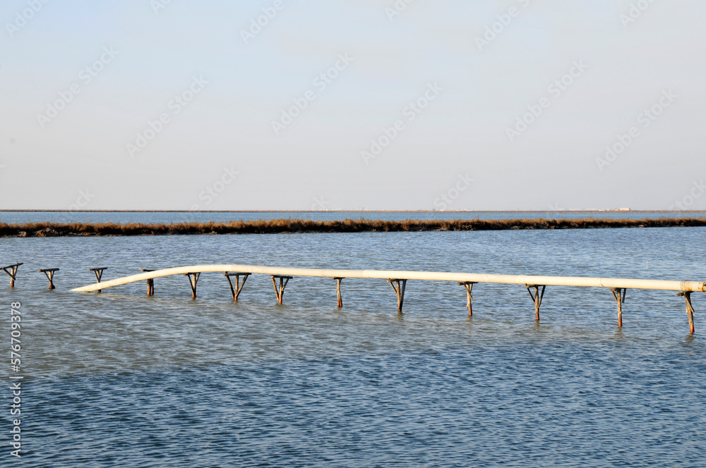 Piles supporting pipeline facilities