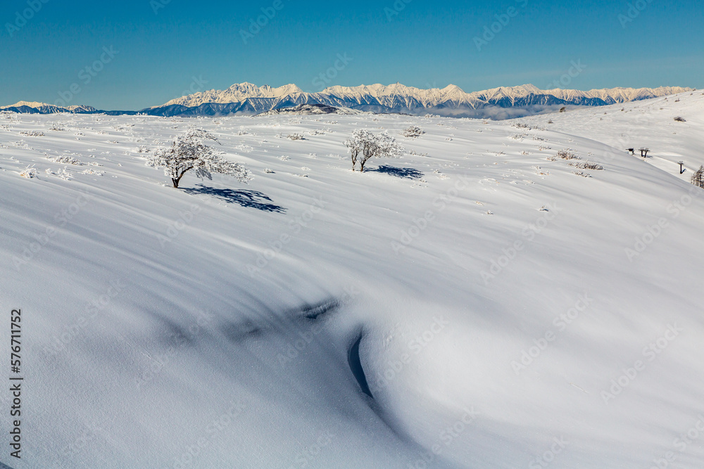 霧ケ峰の雪原から樹氷と北アルプス雪景色