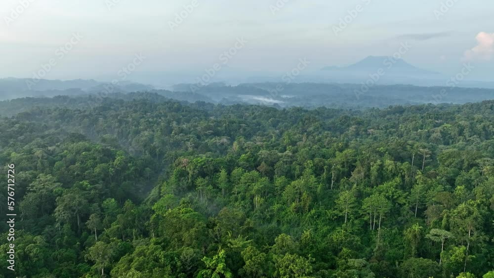 Aerial view of forest and mountains landscape at sunset on Halmahera island, Indonesia. Aerial view of forest and mountains landscape at sunset on Halmahera island, Indonesia.
