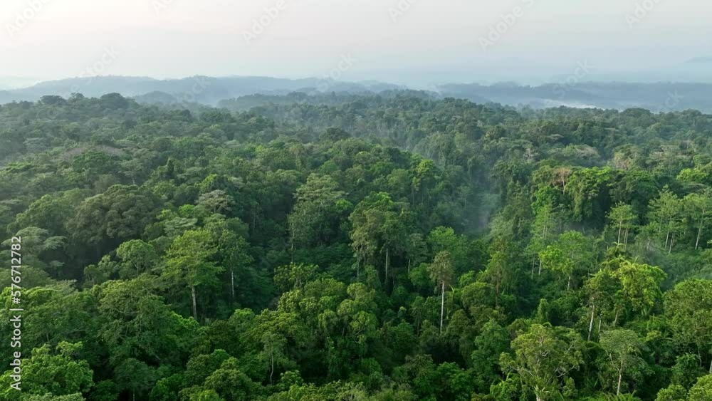 Aerial view of forest and mountains landscape at sunset on Halmahera island, Indonesia. Aerial view of forest and mountains landscape at sunset on Halmahera island, Indonesia.