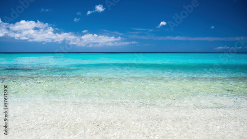 A tropical ocean  with a crystal clear  turquoise sea. The location is Grote Knip beach  on the Dutch Caribbean island of Curacao  famous for it s blue water