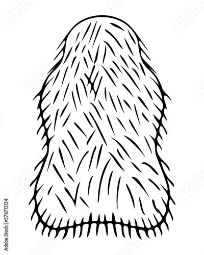 Carpet in the shape of a fur skin. Sketch. Floor covering with artificial fur. Floor mat with fleecy cover. Vector illustration. Rug in doodle style. Coloring book. Outline on isolated background. 