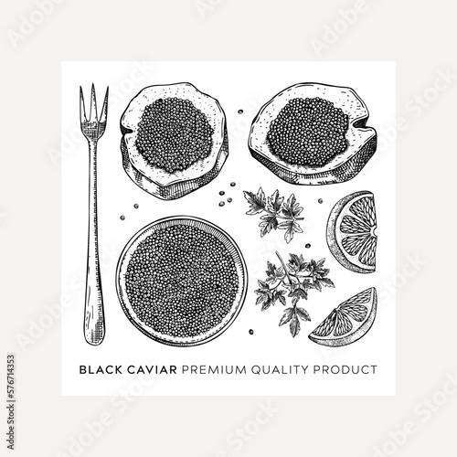 Hand-drawn caviar sketches set isolated on white background. Black caviar in opened tin can, caviar canape, lemons, spices vector drawings. Seafood delicacy illustrations for restaurant or finger food