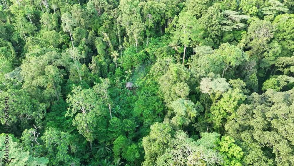 Aerial view of a small hut in the rainforest on Halmahera island, Indonesia. Aerial view of a small hut in the rainforest on Halmahera island, Indonesia.