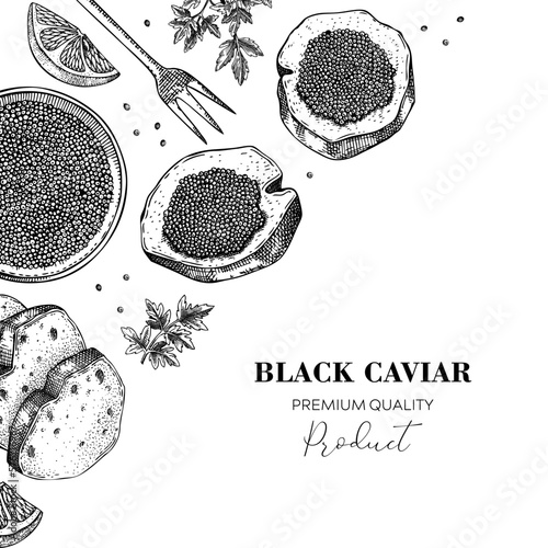 Black caviar canape with lemons and spices banner design. Canned seafood sketches. Vector illustration in vintage style.