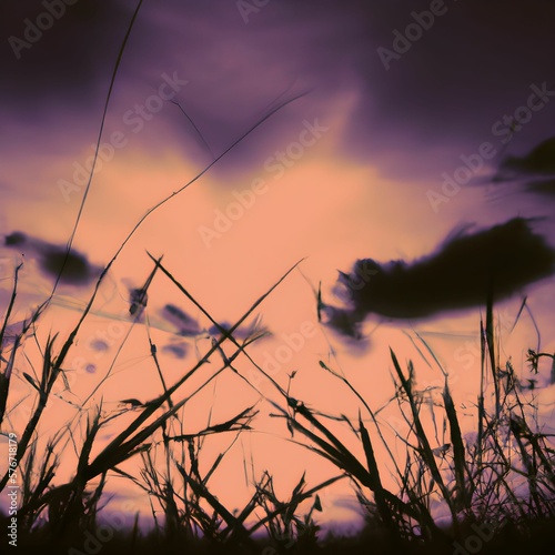Sundown Serenity  Finding Peace and Relaxation in a Grassy Field