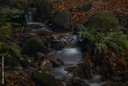 flowing river in a beautiful autumn forest