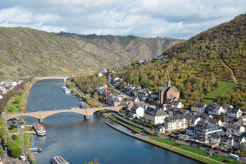 Vineyard and castle in Mosel Valley 