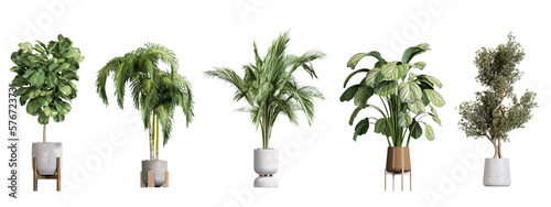 Photographie Plants in 3d rendering. Beautiful plant in 3d rendering isolated
