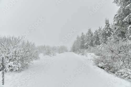 Chemin pour la promenade et le ski de fond entre les zones boisées et de tourbières dans la fagne de la Poleur entre le Mont Rigi et le Signal de Botrange sur le plateau des Hautes Fagnes 